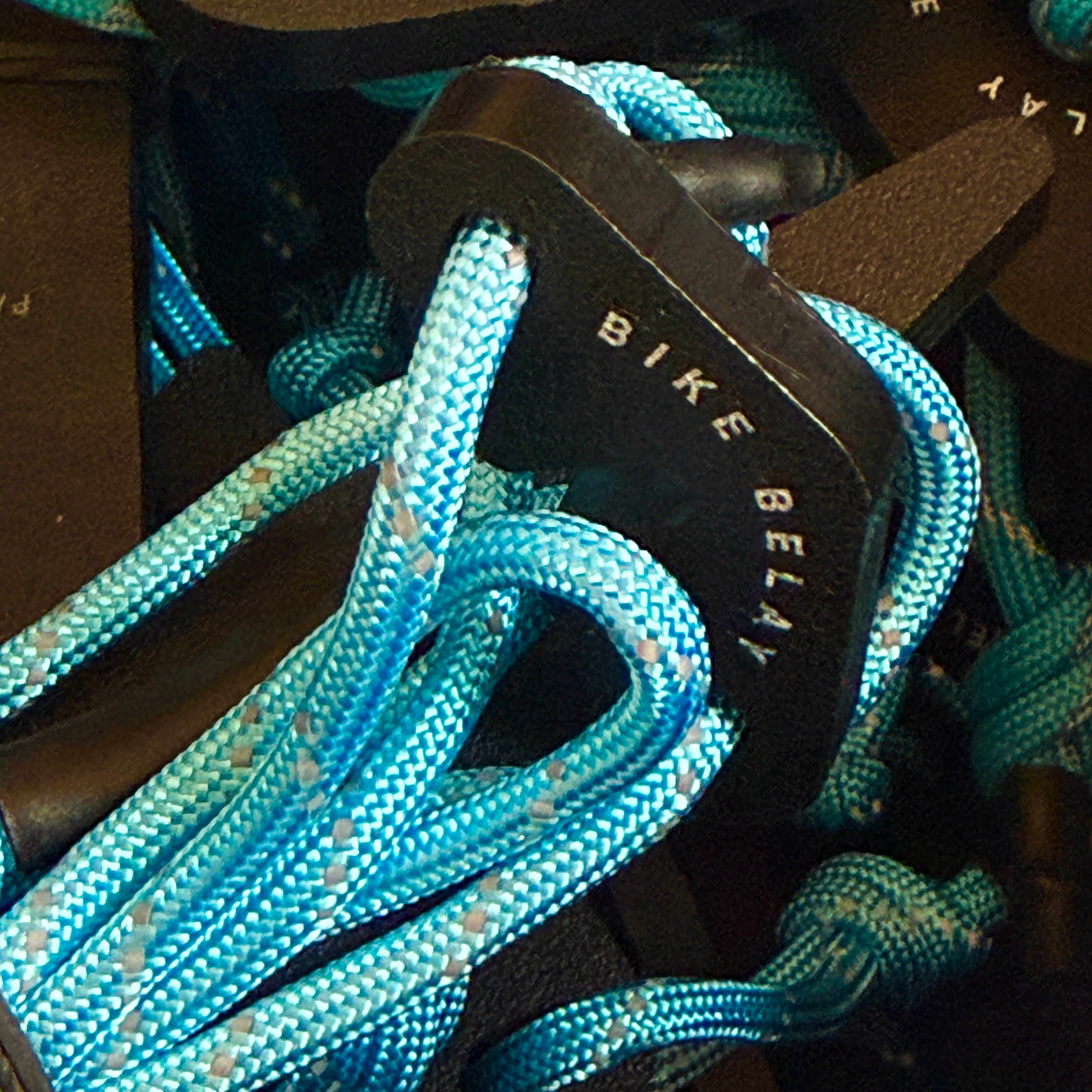 Bike Belay Kit